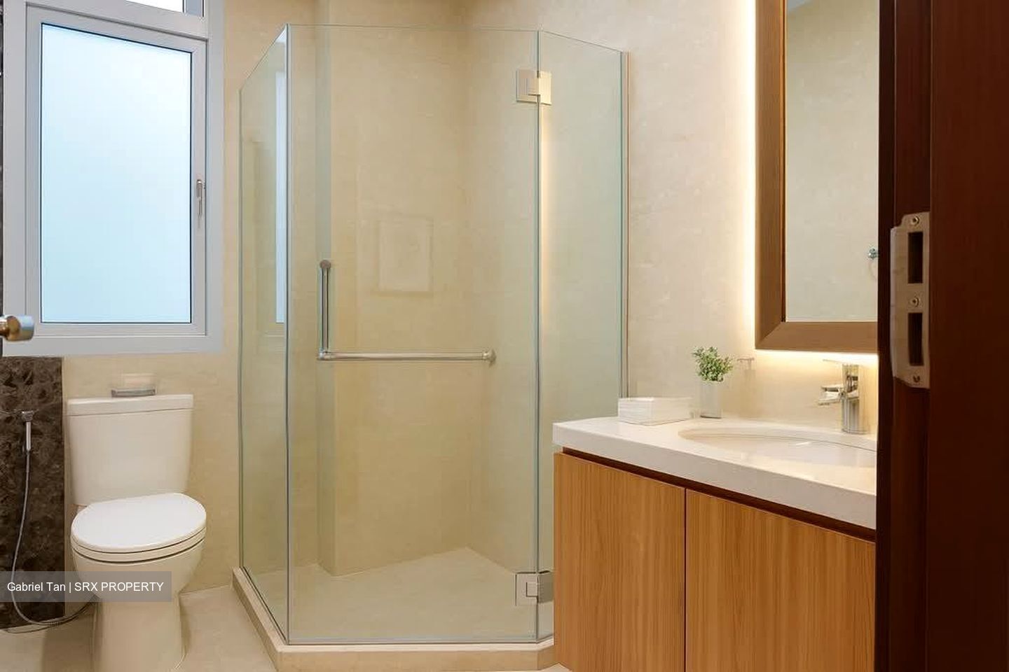 Kim Seng Promenade (D9), Condominium #546415181